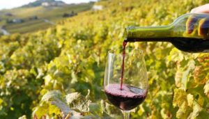 Glass of red wine against vineyards in Lavaux region, Switzerlan