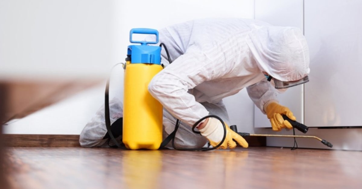 5 tips for a safer pest control in Toronto Toronto Times