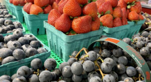 St. Lawrence Saturday outdoor market opens