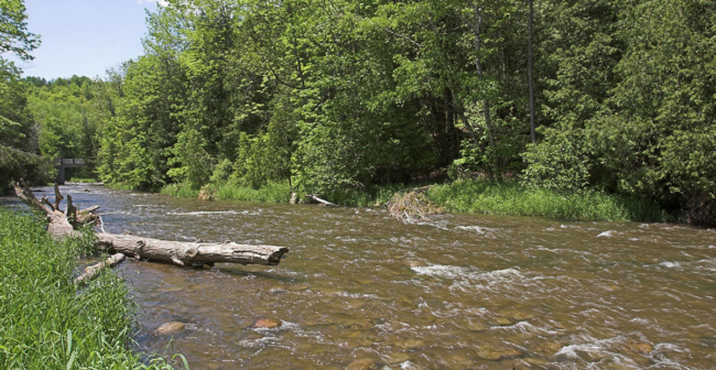 Beheaded goat found dead in Credit River