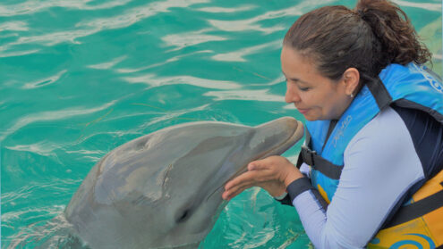 Canada banning the captivity of dolphins, whales and porpoises