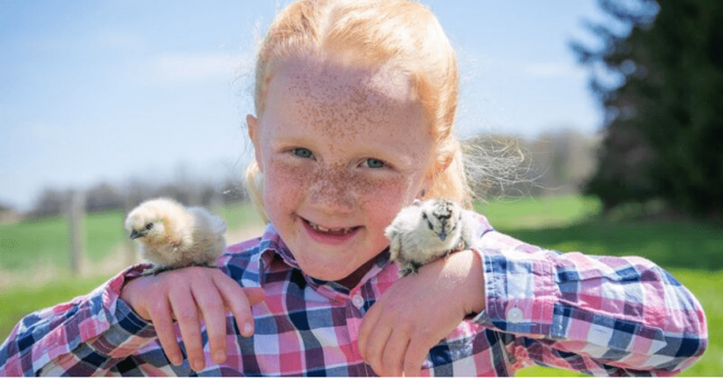 Gabby's Farm premieres on TVOKids this May