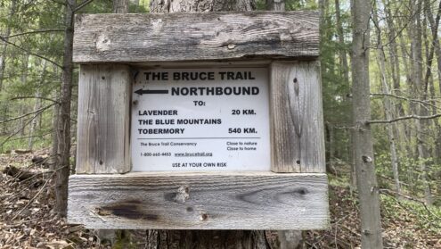 Bruce Trail Conservancy acquires large plot of land on Bruce Peninsula