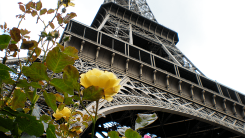 France Health Pass mandatory for visitors