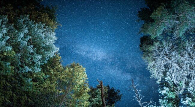 Where to watch the Perseid meteor shower