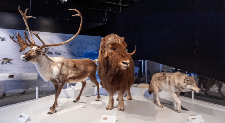 Planet Ice: Mysteries of the Ice Ages makes world-touring premiere at Ontario Science Centre