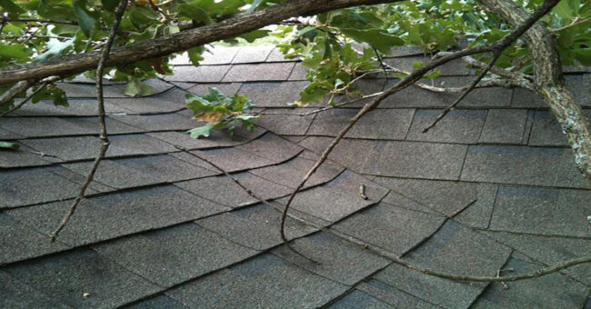 trim tree branches near your roof