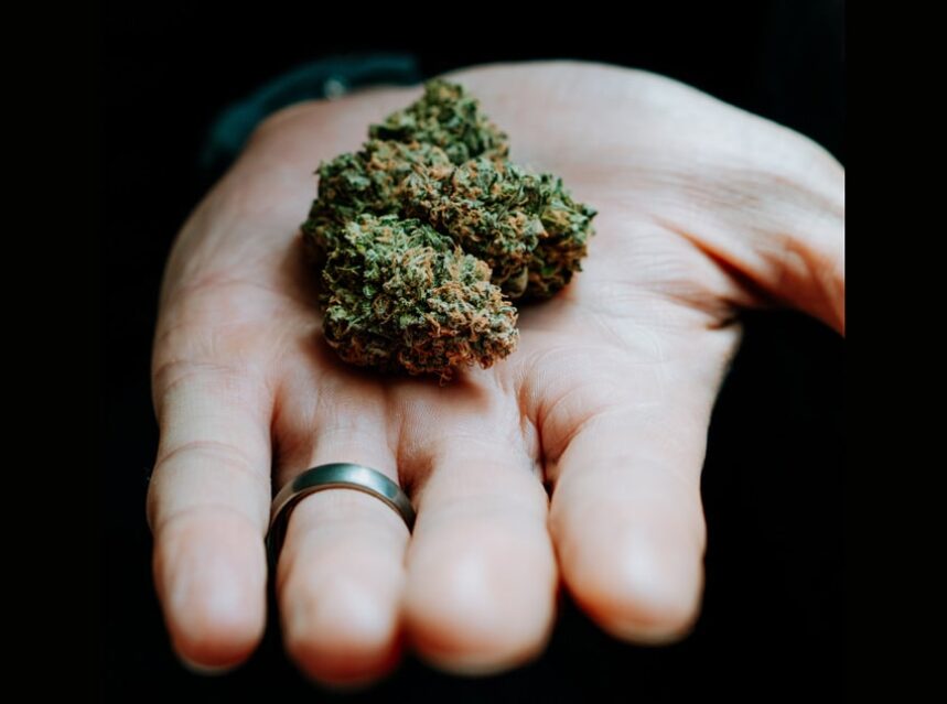 Cannabis retailer Tokyo Smoke and Uber Eats form partnership to 