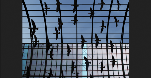 CF Toronto Eaton Centre is getting a new skylight roof