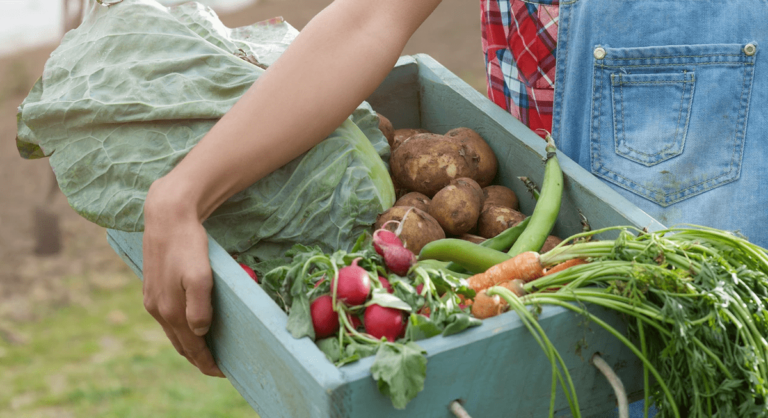 Mississauga Farmers Markets open