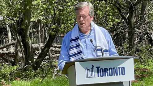 Toronto's official tree revealed