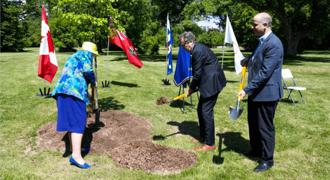 Toronto plans 70 large trees for the Queen's Platinum Jubilee