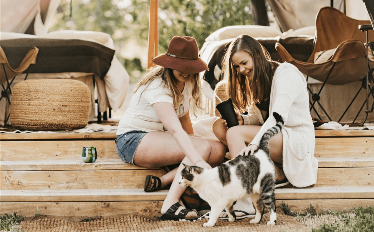 Ontario pet-friendly camping