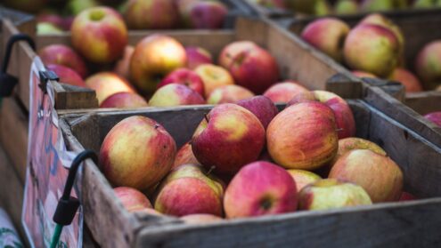Bayview Leaside Applefest