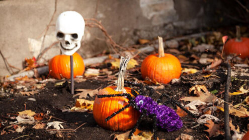 Quebec Halloween events