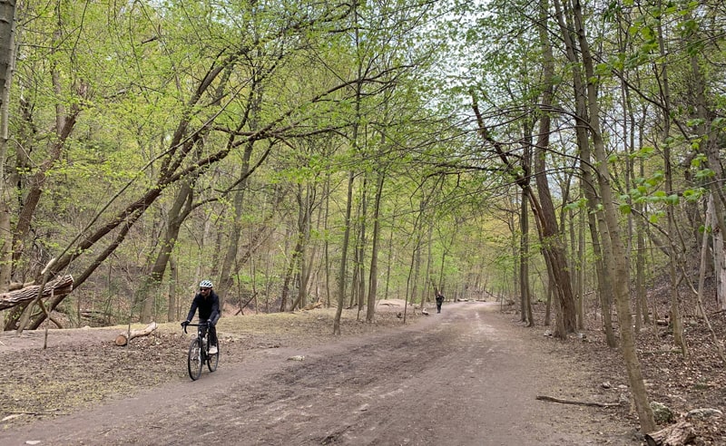 Complete guide to bike rentals in Toronto - Toronto Times