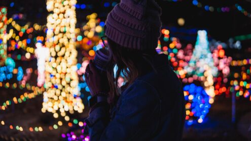 Northern Lights coming to Exhibition Place