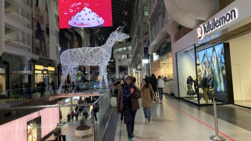 CF Toronto Eaton Centre Tree Lighting