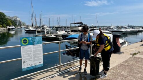 Seabins toronto harbour