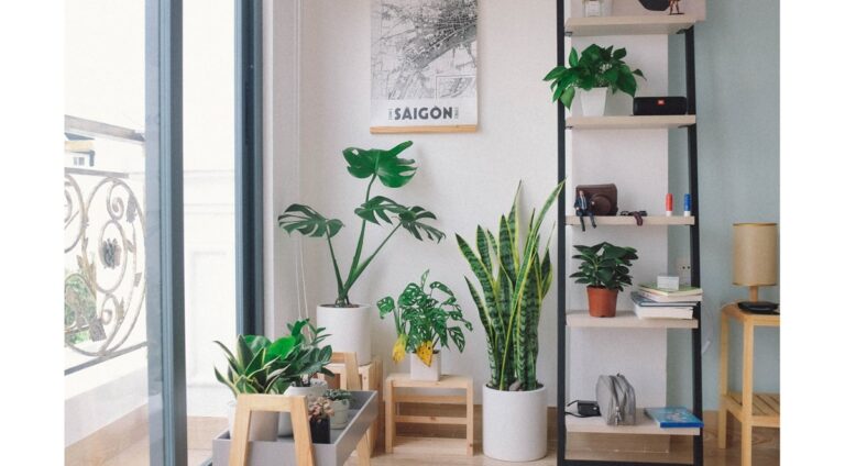 Benefits of indoor gardening