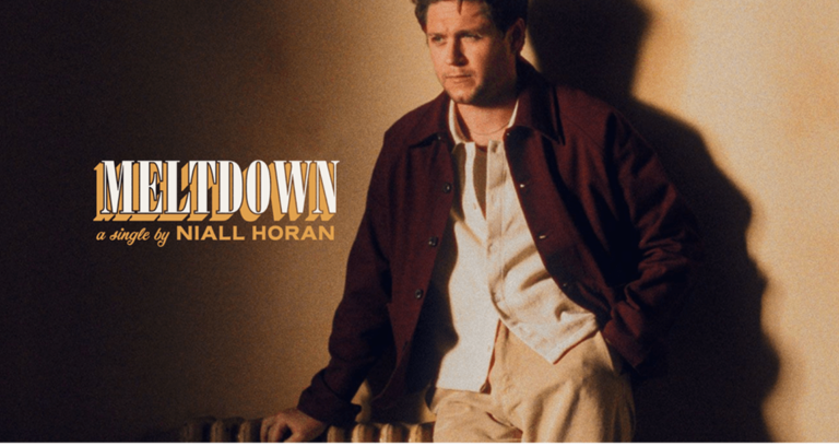 Niall Horan plays a free show in Toronto