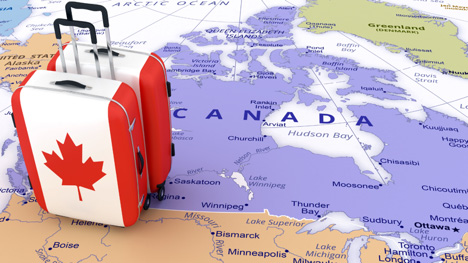 Canada Immigration Lawyer