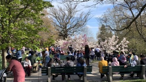 High Park improvements coming