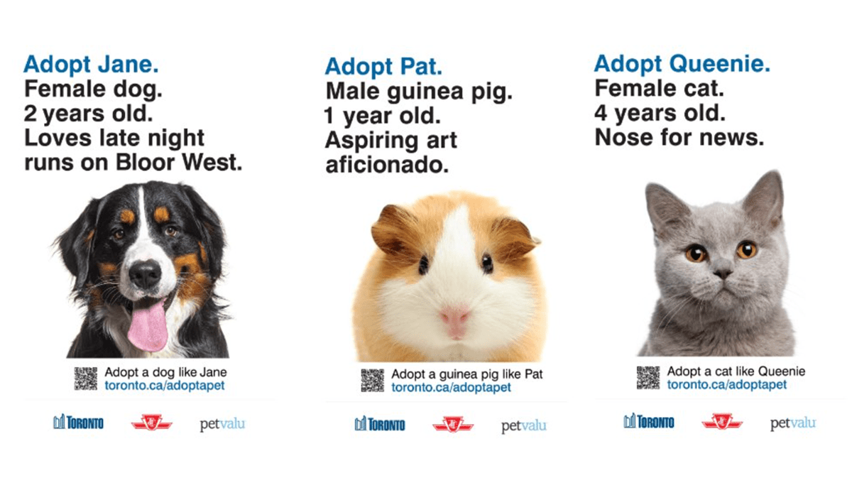 City of Toronto partners with TTC and Pet Valu to create the cutest TTC