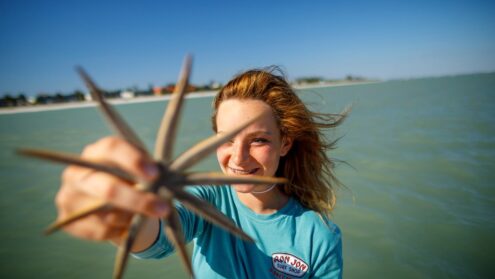 Fort Myers celebrates National Seashell Day