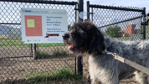 Keep your dog leashed except where permitted to go leash free