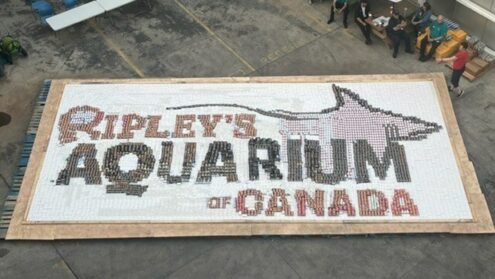 Ripley's Aquarium donates nine thousand cans of food