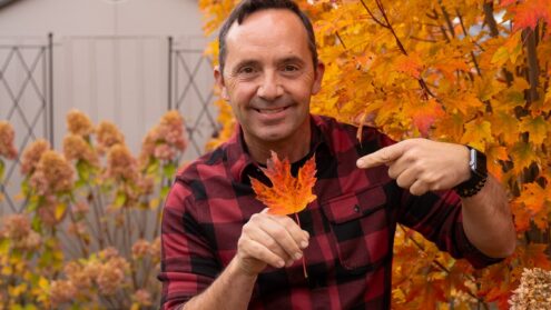 Frankie Flowers at the Cottage Life and Seasons Christmas Show