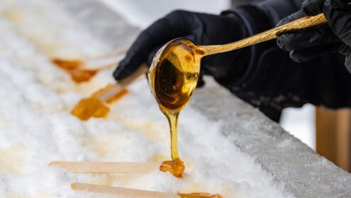 Sugar shack maple madness returns 2024