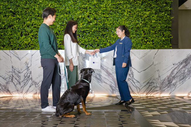 Curated visual reference: Picture Idea: Hotel X Toronto Launches Pawsome Pet Concierge Program