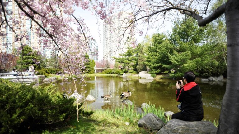 Downtown Mississauga's best parks