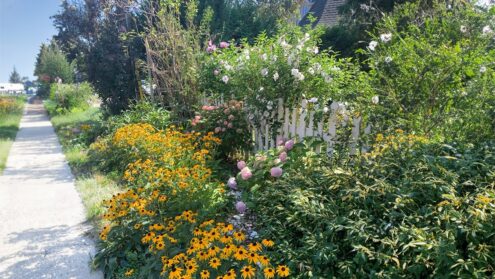 PollinateTO applications