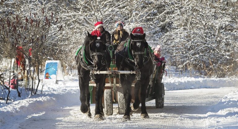 Kawartha Lakes Holiday Guide