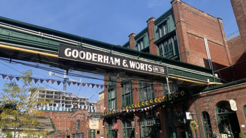 Top 20 Things to do in Toronto for couples, singles