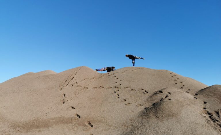 Sand Flight premieres at The Bentway