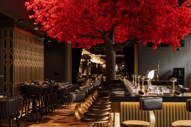 Casa 73 opens on Bay Street