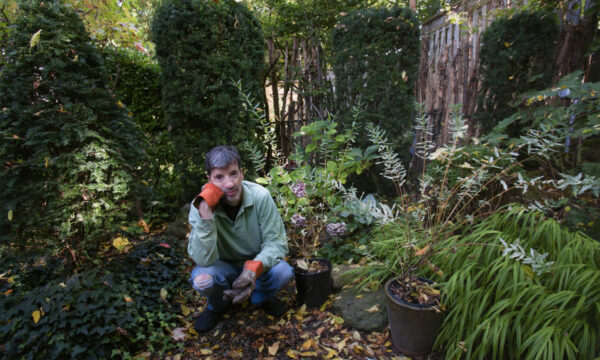 Martha and the Muffins Mark Gane solo album