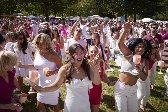 Rosé Disco takes over Fort York