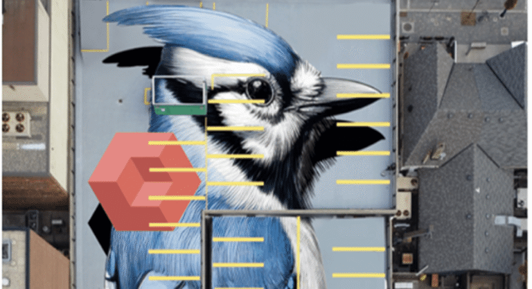 Giant Blue Jay mural lands in Yorkville