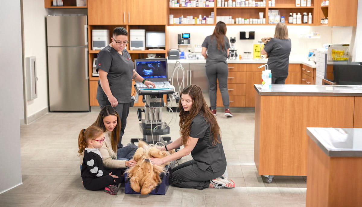 24/7 Emergency Veterinary Hospital Opens in Etobicoke - Toronto Times